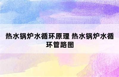 热水锅炉水循环原理 热水锅炉水循环管路图